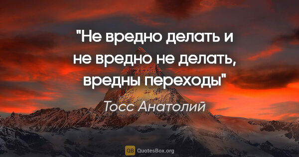 Тосс Анатолий цитата: "Не вредно делать и не вредно не делать, вредны переходы"