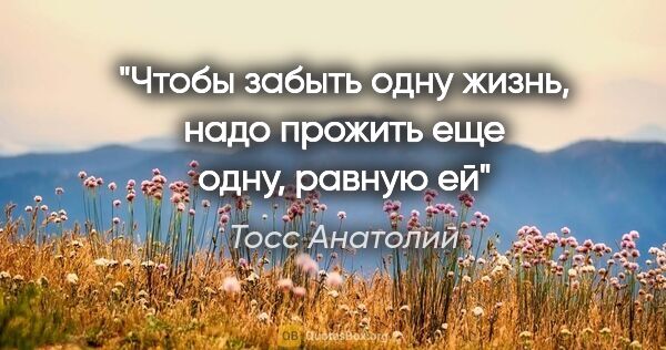 Тосс Анатолий цитата: "Чтобы забыть одну жизнь, надо прожить еще одну, равную ей"