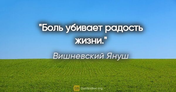 Вишневский Януш цитата: "Боль убивает радость жизни."