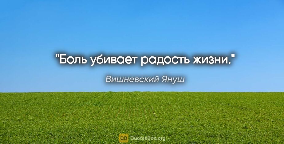 Вишневский Януш цитата: "Боль убивает радость жизни."