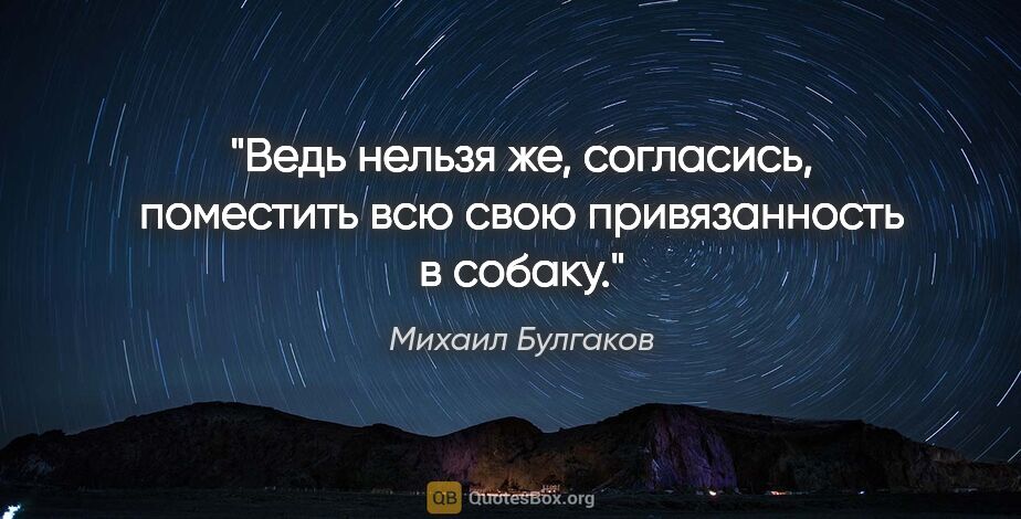 Михаил Булгаков цитата: "Ведь нельзя же, согласись, поместить всю свою привязанность в..."
