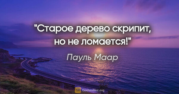 Пауль Маар цитата: "Старое дерево скрипит, но не ломается!"