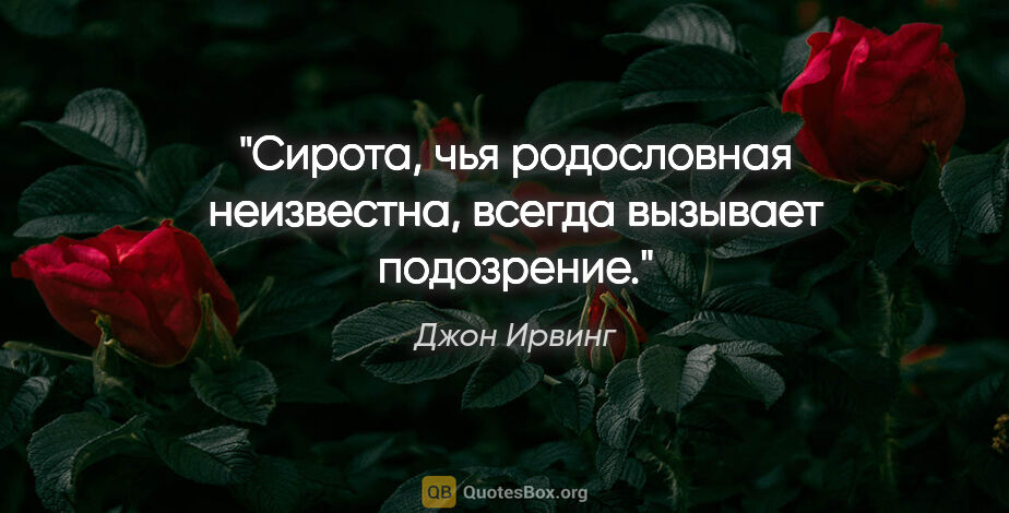 Джон Ирвинг цитата: "Сирота, чья родословная неизвестна, всегда вызывает подозрение."