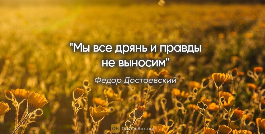 Федор Достоевский цитата: "Мы все дрянь и правды не выносим"