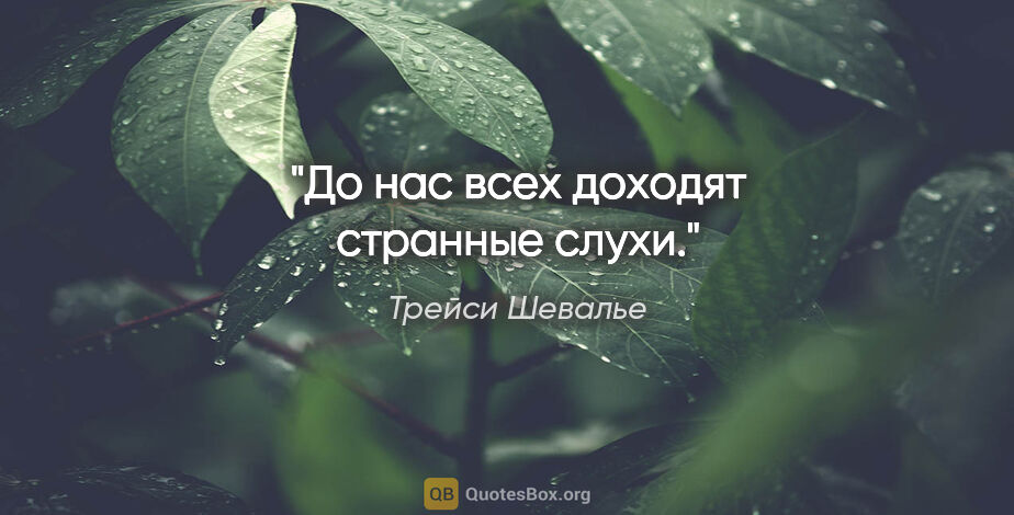 Трейси Шевалье цитата: "До нас всех доходят странные слухи."