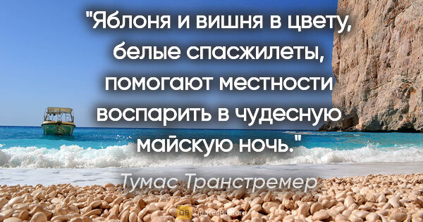 Тумас Транстремер цитата: "Яблоня и вишня в цвету, белые спасжилеты,

помогают местности..."