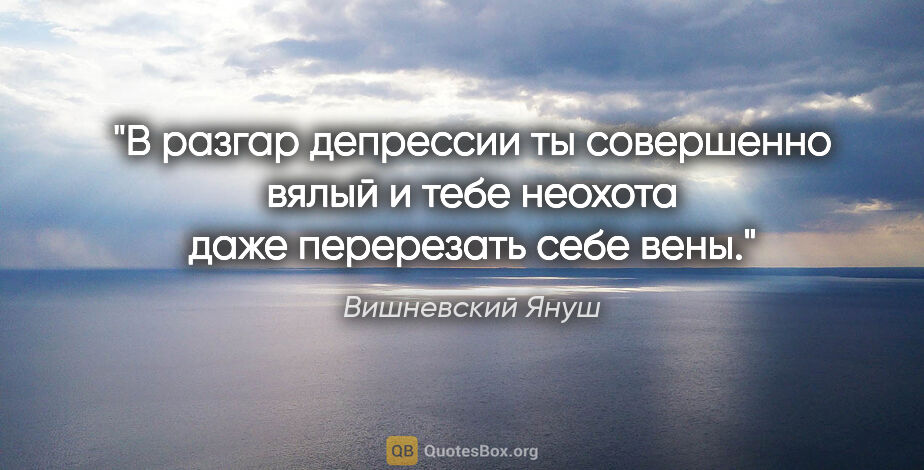 Вишневский Януш цитата: "В разгар депрессии ты совершенно вялый и тебе неохота даже..."