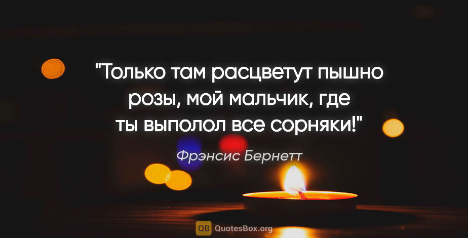 Фрэнсис Бернетт цитата: "Только там расцветут пышно розы, мой мальчик, где ты выполол..."