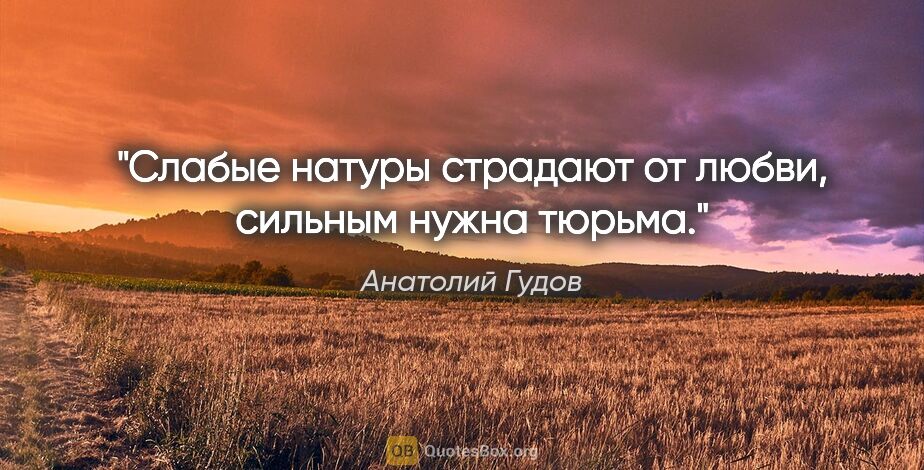 Анатолий Гудов цитата: "Слабые натуры страдают от любви, сильным нужна тюрьма."