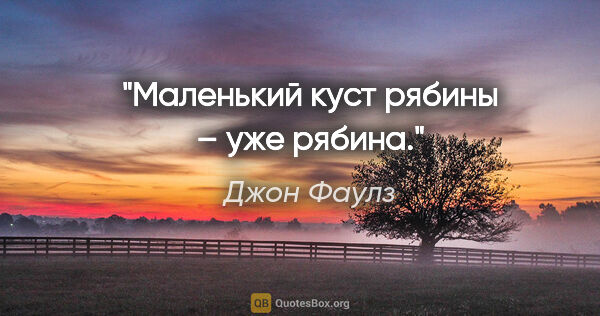 Джон Фаулз цитата: "Маленький куст рябины – уже рябина."