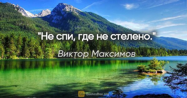 Виктор Максимов цитата: "Не спи, где не стелено."