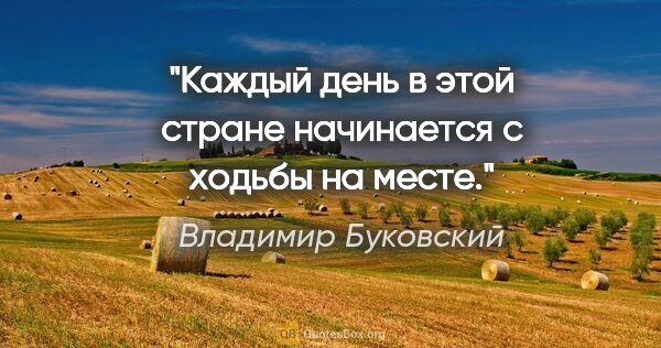 Владимир Буковский цитата: "Каждый день в этой стране начинается с ходьбы на месте."