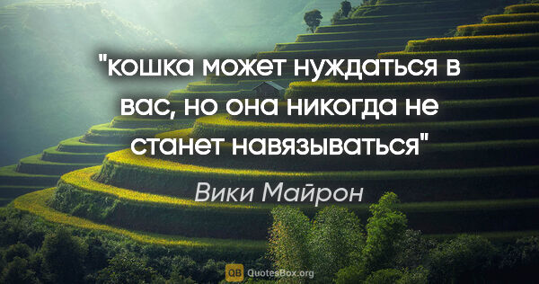 Вики Майрон цитата: "кошка может нуждаться в вас, но она никогда не станет..."