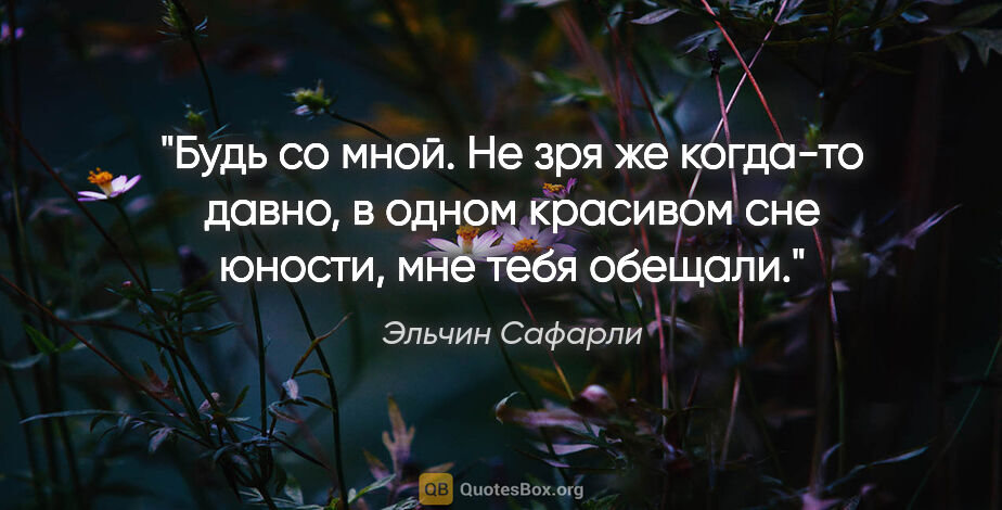 Эльчин Сафарли цитата: "Будь со мной. Не зря же когда-то давно, в одном красивом сне..."