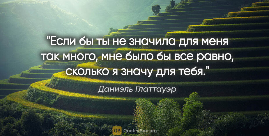 Даниэль Глаттауэр цитата: "Если бы ты не значила для меня так много, мне было бы все..."