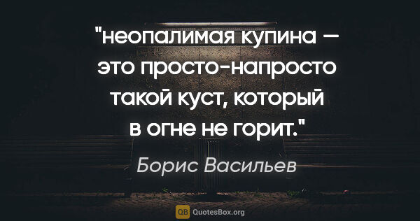 Борис Васильев цитата: "неопалимая купина — это просто-напросто такой куст, который в..."