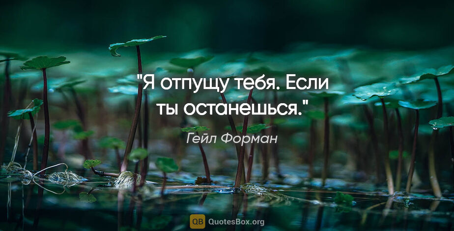 Гейл Форман цитата: "Я отпущу тебя. Если ты останешься."