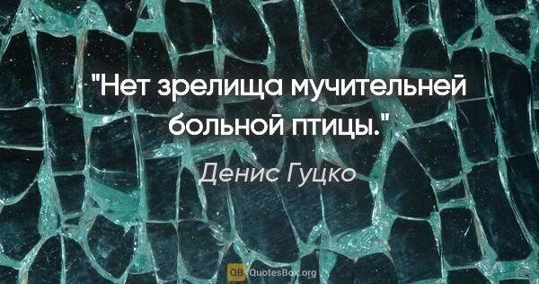 Денис Гуцко цитата: "Нет зрелища мучительней больной птицы."