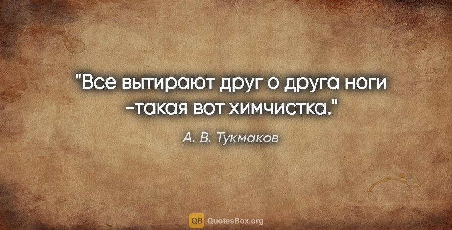 А. В. Тукмаков цитата: "Все вытирают друг о друга ноги -такая вот химчистка."