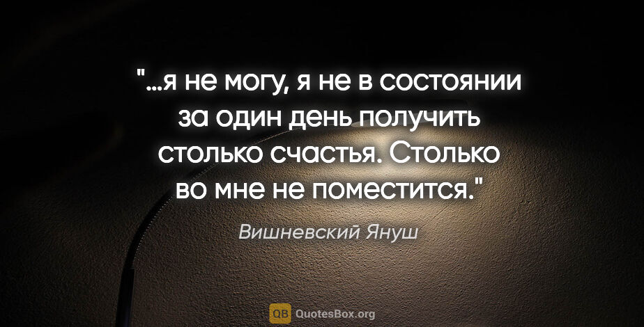 Вишневский Януш цитата: "…я не могу, я не в состоянии за один день получить столько..."