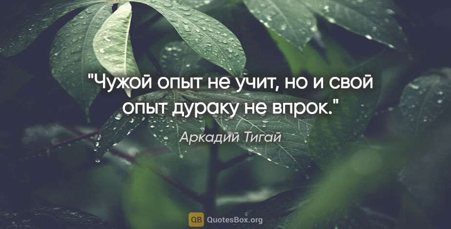 Аркадий Тигай цитата: "Чужой опыт не учит, но и свой опыт дураку не впрок."