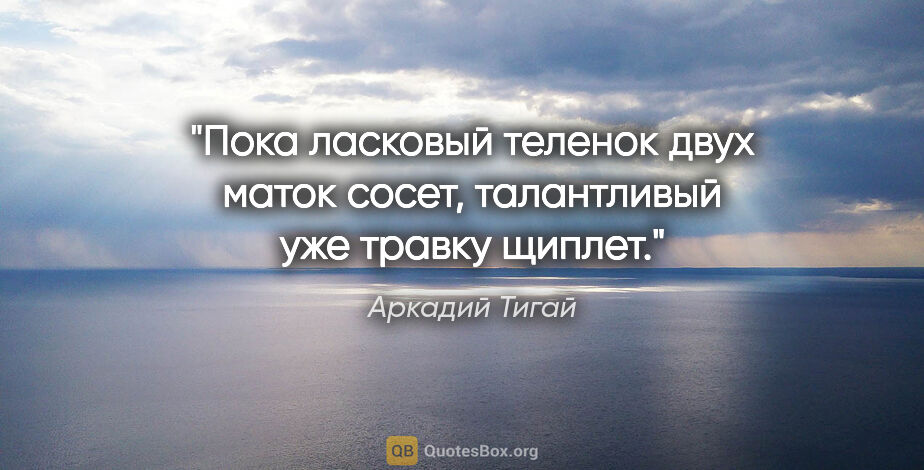 Аркадий Тигай цитата: "Пока ласковый теленок двух маток сосет, талантливый уже травку..."