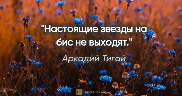 Аркадий Тигай цитата: "Настоящие звезды на бис не выходят."