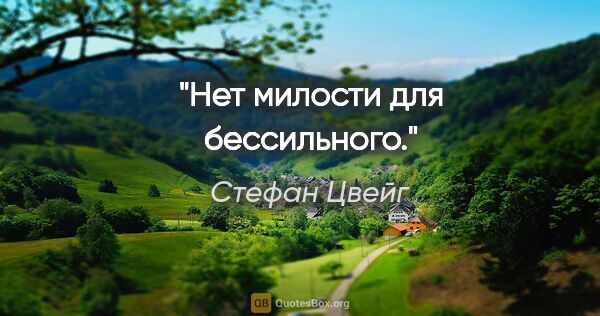 Стефан Цвейг цитата: "Нет милости для бессильного."