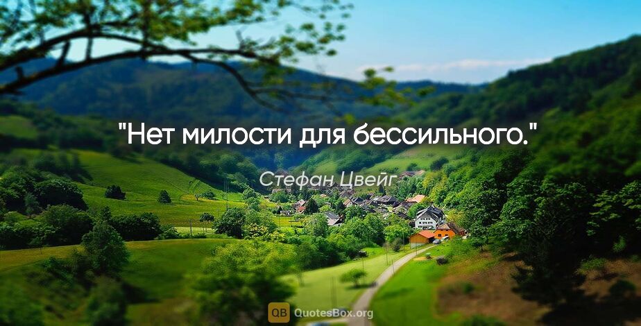 Стефан Цвейг цитата: "Нет милости для бессильного."