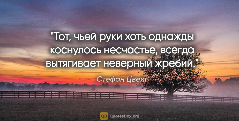 Стефан Цвейг цитата: "Тот, чьей руки хоть однажды коснулось несчастье, всегда..."