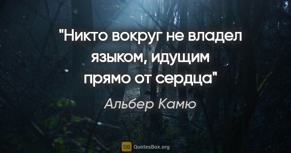 Альбер Камю цитата: "Никто вокруг не владел языком, идущим прямо от сердца"