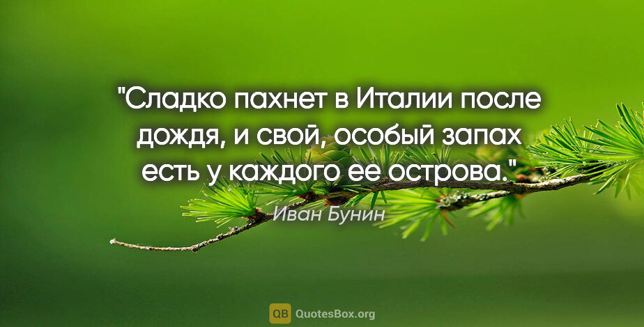 Иван Бунин цитата: "Сладко пахнет в Италии после дождя, и свой, особый запах есть..."