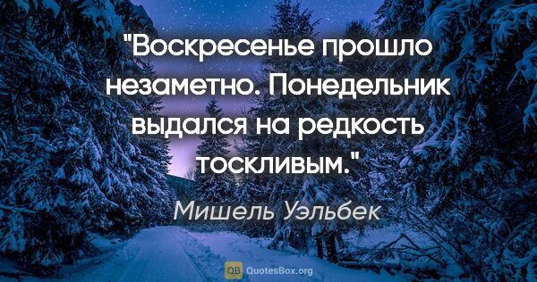 Мишель Уэльбек цитата: "Воскресенье прошло незаметно. Понедельник выдался на редкость..."