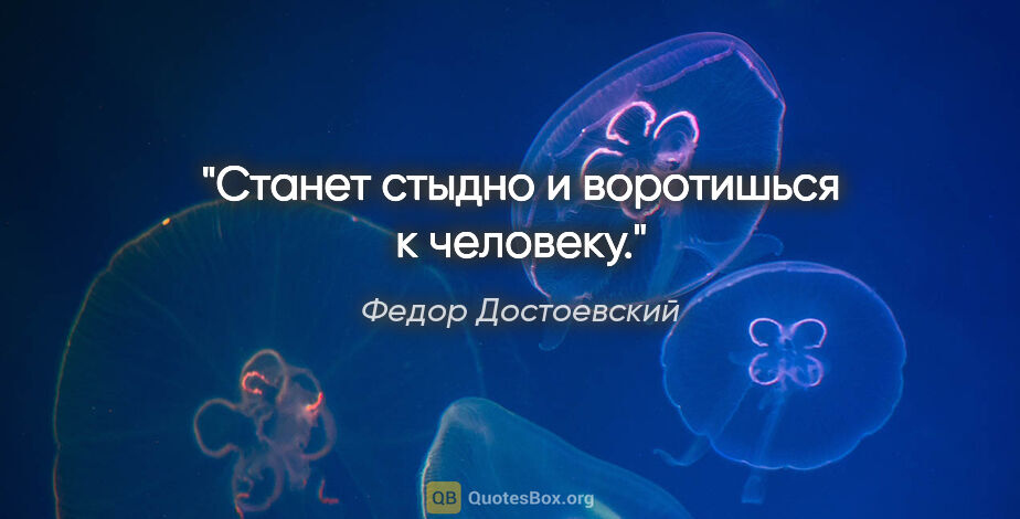 Федор Достоевский цитата: "Станет стыдно и воротишься к человеку."