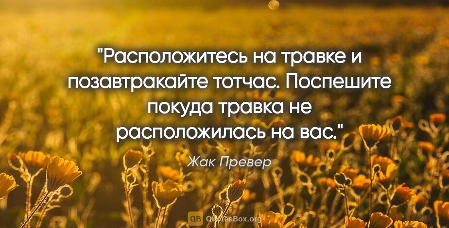 Жак Превер цитата: "Расположитесь на травке

и позавтракайте тотчас.

Поспешите..."