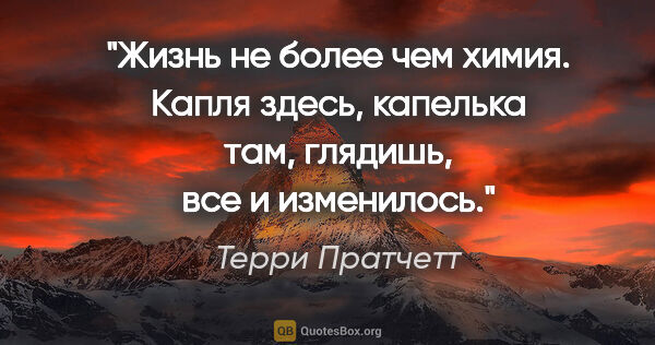 Терри Пратчетт цитата: "Жизнь не более чем химия. Капля здесь, капелька там, глядишь,..."