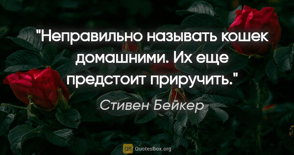 Стивен Бейкер цитата: "Неправильно называть кошек домашними. Их еще предстоит приручить."