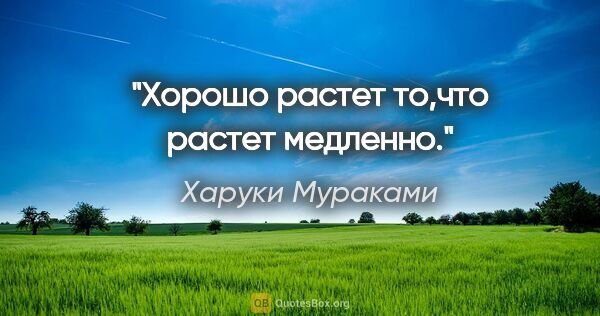 Харуки Мураками цитата: "Хорошо растет то,что растет медленно."