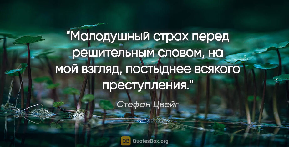 Стефан Цвейг цитата: "Малодушный страх перед решительным словом, на мой взгляд,..."