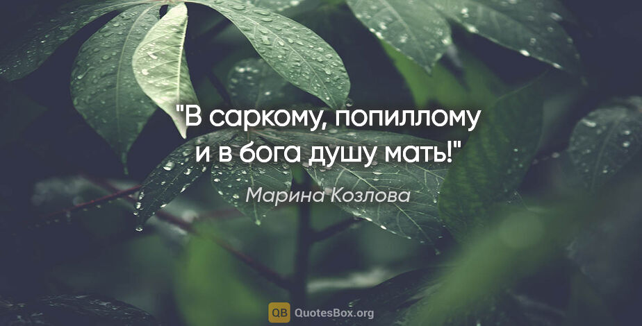 Марина Козлова цитата: "В саркому, попиллому и в бога душу мать!"