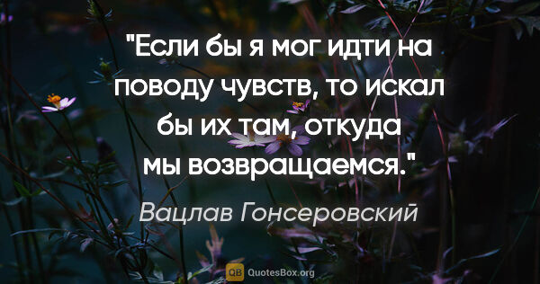 Вацлав Гонсеровский цитата: "Если бы я мог идти на поводу чувств, то искал бы их там,..."