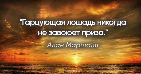 Алан Маршалл цитата: "Гарцующая лошадь никогда не завоюет приза."