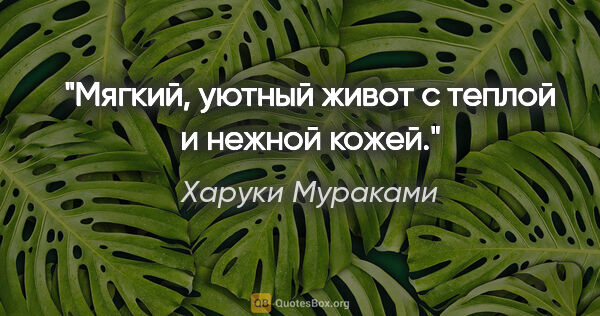 Харуки Мураками цитата: "Мягкий, уютный живот с теплой и нежной кожей."