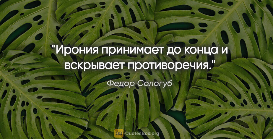 Федор Сологуб цитата: "Ирония принимает до конца и вскрывает противоречия."