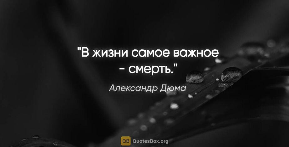 Александр Дюма цитата: "В жизни самое важное - смерть."