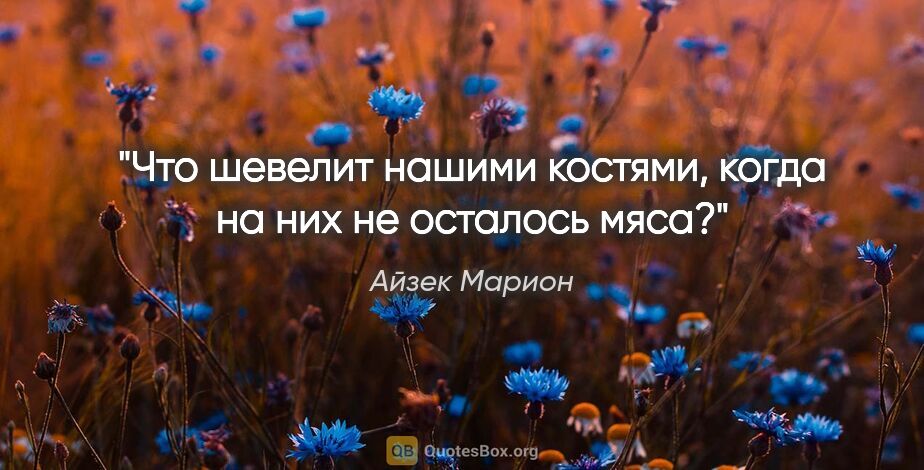 Айзек Марион цитата: "Что шевелит нашими костями, когда на них не осталось мяса?"