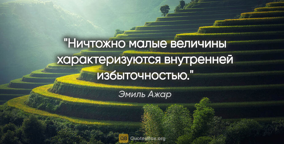 Эмиль Ажар цитата: ""Ничтожно малые величины характеризуются внутренней..."