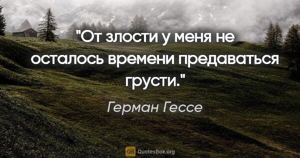 Герман Гессе цитата: "От злости у меня не осталось времени предаваться грусти."