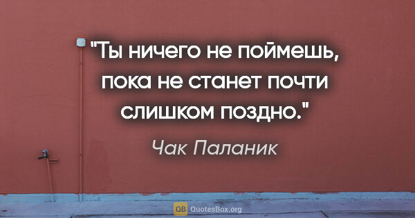 Чак Паланик цитата: "Ты ничего не поймешь, пока не станет почти слишком поздно."