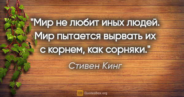 Стивен Кинг цитата: "Мир не любит иных людей. Мир пытается вырвать их с корнем, как..."